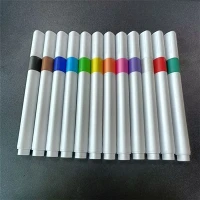 Pen Akrilik DIY Dengan 12 Warna
